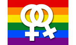 DRAPEAU LGBT lesbien - 15x11.2cm - Autocollant(sticker)