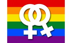DRAPEAU LGBT lesbien - 10x7.5cm - Autocollant(sticker)