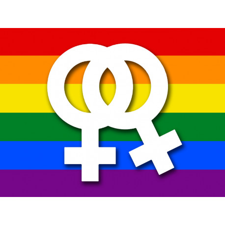 DRAPEAU LGBT lesbien - 10x7.5cm - Autocollant(sticker)