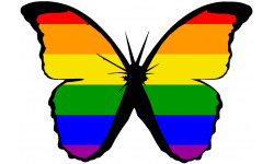 effet papillon LGBT - 15x10.5cm - Autocollant(sticker)