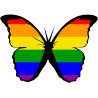 effet papillon LGBT - 15x10.5cm - Autocollant(sticker)