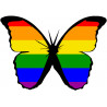 effet papillon LGBT - 10x7cm - Autocollant(sticker)