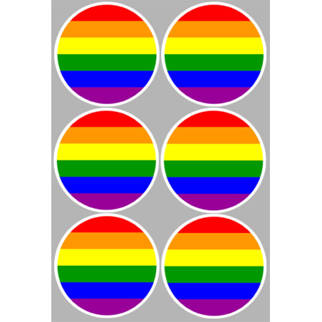 drapeau LGBT - 6 stickers de 9cm - Sticker/autocollant