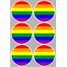 drapeau LGBT - 6 stickers de 9cm - Sticker/autocollant