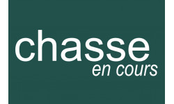 chasse en cours vert - 10x6.5cm - Autocollant(sticker)