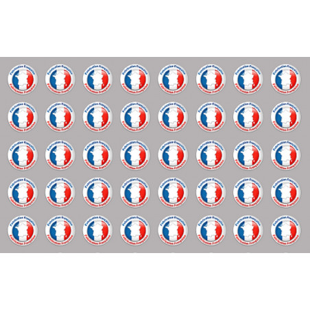 Fabrication Française (40 fois 2cm) - Autocollant(sticker)