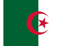 Drapeau Algérie (19.5x13cm) - Autocollant(sticker)