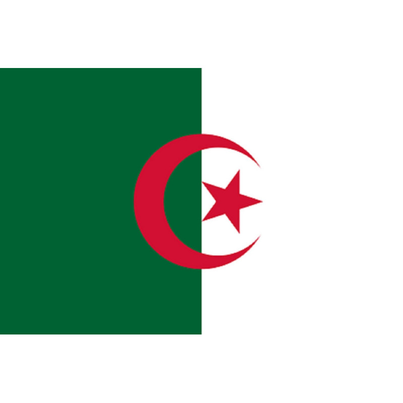 Drapeau Algérie (19.5x13cm) - Sticker/autocollant