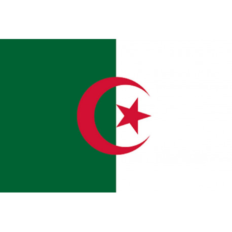 Drapeau Algérie (19.5x13cm) - Autocollant(sticker)