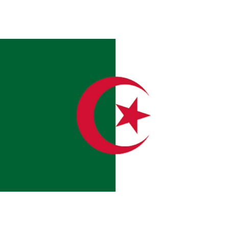 Drapeau Algérie (19.5x13cm) - Sticker/autocollant