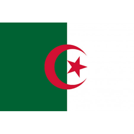 Drapeau Algérie (19.5x13cm) - Autocollant(sticker)