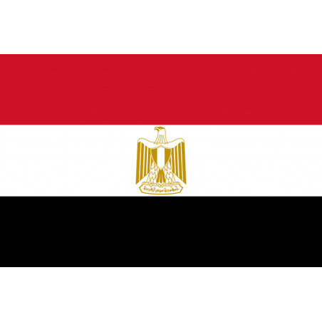 Drapeau Egypte (19.5x13cm) - Autocollant(sticker)