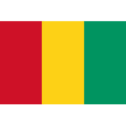 Drapeau Guinée (15x10cm) - Sticker/autocollant