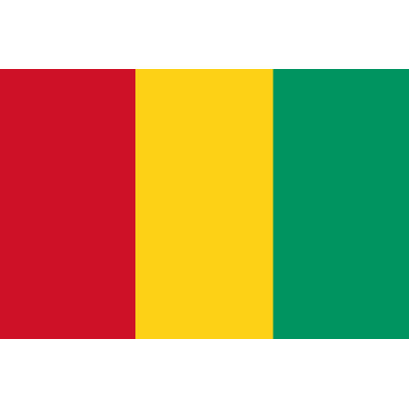 Drapeau Guinée (15x10cm) - Sticker/autocollant
