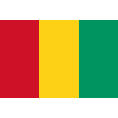Drapeau Guinée (5x3.3cm) - Sticker/autocollant