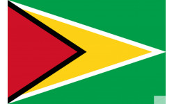 Drapeau Guyana - (19.5x13cm) - Autocollant(sticker)