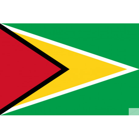 Drapeau Guyana - (19.5x13cm) - Autocollant(sticker)