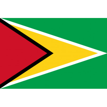 Drapeau Guyana - (19.5x13cm) - Autocollant(sticker)