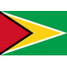 Drapeau Guyana - (19.5x13cm) - Autocollant(sticker)