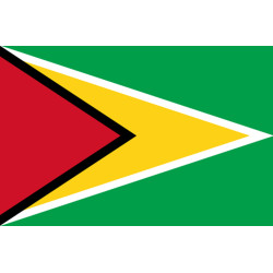 Drapeau Guyana - (15x10cm) - Sticker/autocollant