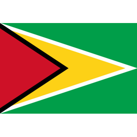 Drapeau Guyana - (15x10cm) - Sticker/autocollant