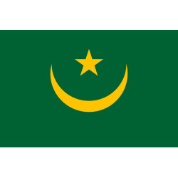 Drapeau Mauritanie (19.5x13cm) - Sticker/autocollant