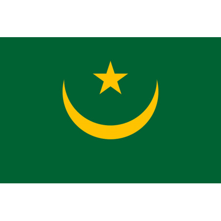 Drapeau Mauritanie (19.5x13cm) - Autocollant(sticker)