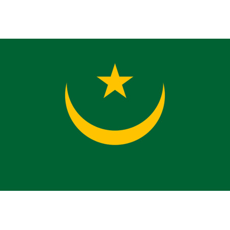 Drapeau Mauritanie (5x3.3cm) - Sticker/autocollant