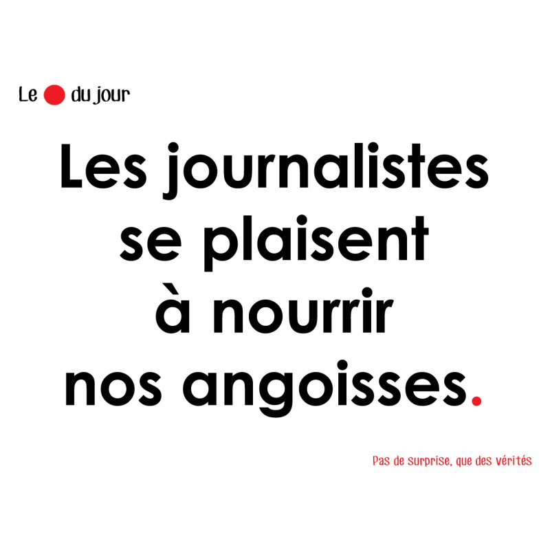 Les journalistes se plaisent à nourrir nos angoisses (15x10cm) - Stic