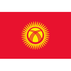 Drapeau Kirghizistan (5x3.3cm) - Sticker/autocollant