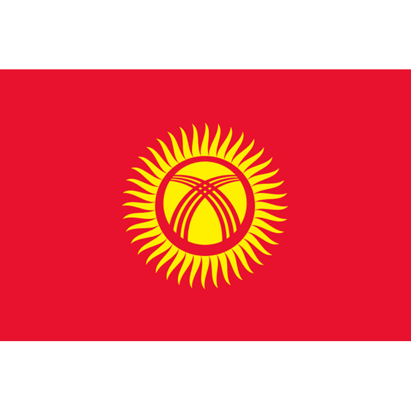 Drapeau Kirghizistan (5x3.3cm) - Sticker/autocollant