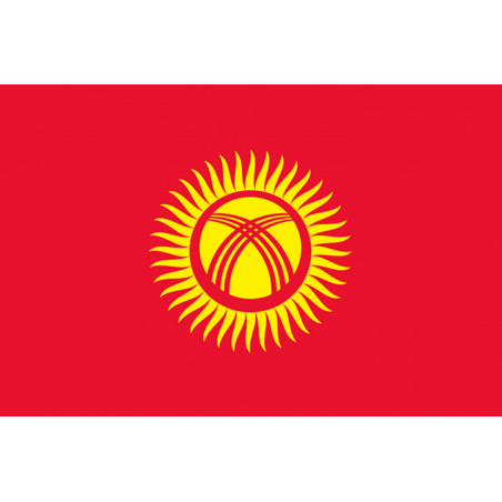 Drapeau Kirghizistan (5x3.3cm) - Autocollant(sticker)