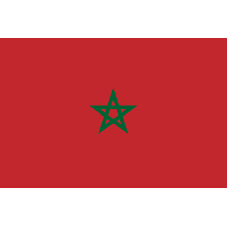 Drapeau Maroc (19.5x13cm) - Sticker/autocollant