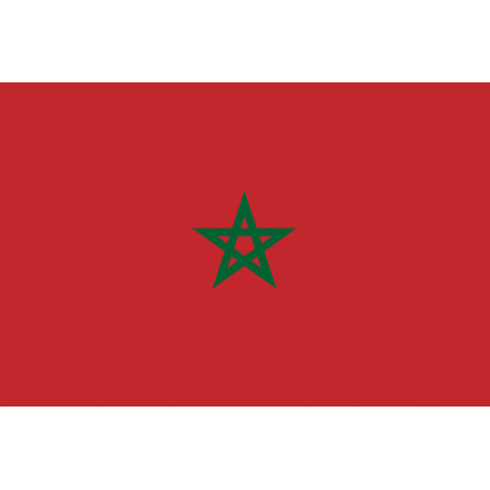 Drapeau Maroc (19.5x13cm) - Autocollant(sticker)