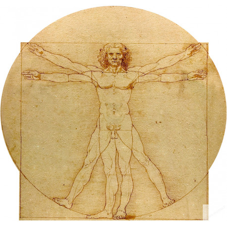 L'homme de Vitruve (5x4.7cm) - Autocollant(sticker)