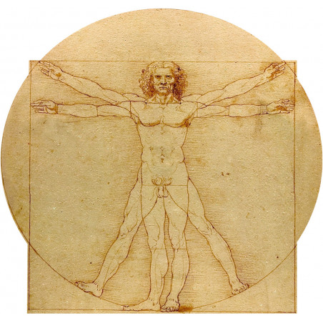 L'homme de Vitruve (5x4.7cm) - Autocollant(sticker)