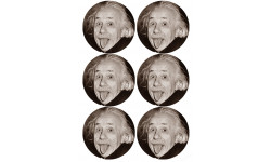 Albert Einstein (6 fois 9cm) - Autocollant(sticker)