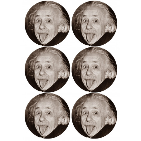 Albert Einstein (6 fois 9cm) - Autocollant(sticker)