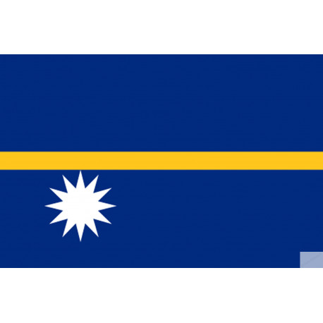 Drapeau Nauru (19.5x13cm) - Autocollant(sticker)