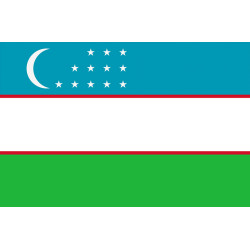 Drapeau Ouzbékistan (19.5x13cm) - Sticker/autocollant