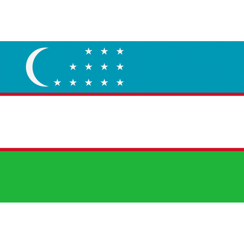 Drapeau Ouzbékistan (19.5x13cm) - Sticker/autocollant