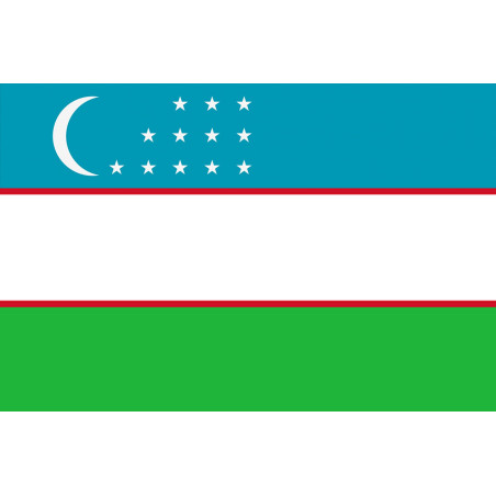 Drapeau Ouzbékistan (5x3.3cm) - Sticker/autocollant