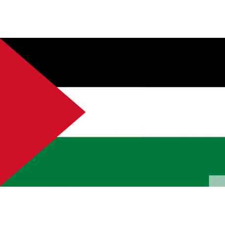 Drapeau Palestine (19.5x13cm) - Autocollant(sticker)