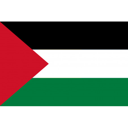 Drapeau Palestine (19.5x13cm) - Autocollant(sticker)