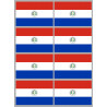 Drapeau Paraguay (8 fois 9.5x6.3cm) - Autocollant(sticker)