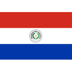 Drapeau Paraguay (19.5x13cm) - Sticker/autocollant