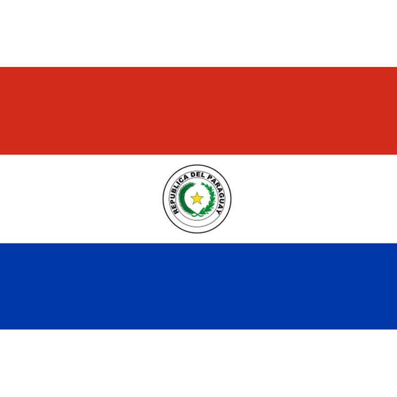 Drapeau Paraguay (19.5x13cm) - Sticker/autocollant
