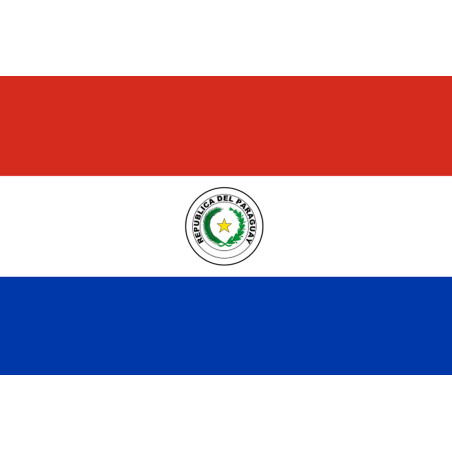 Drapeau Paraguay (19.5x13cm) - Sticker/autocollant