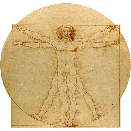 L'homme de Vitruve (20x19cm) - Autocollant(sticker)