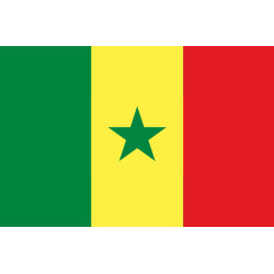 Drapeau Sénégal (19.5x13cm) - Sticker/autocollant